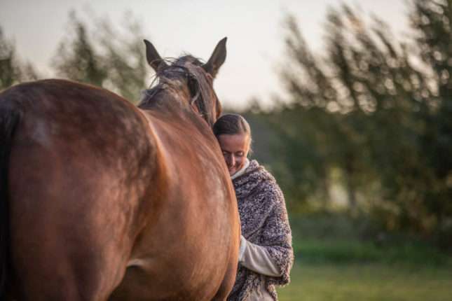 Traumatherapie mit einem Pferd und einen Menschen, der sich an das Pferd schmiegt