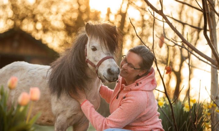 Kurztherapie Mit Pferden Mit Silke Ritthaler